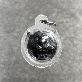 Luang Pho Pern Look Om Suea, B.E. 2545