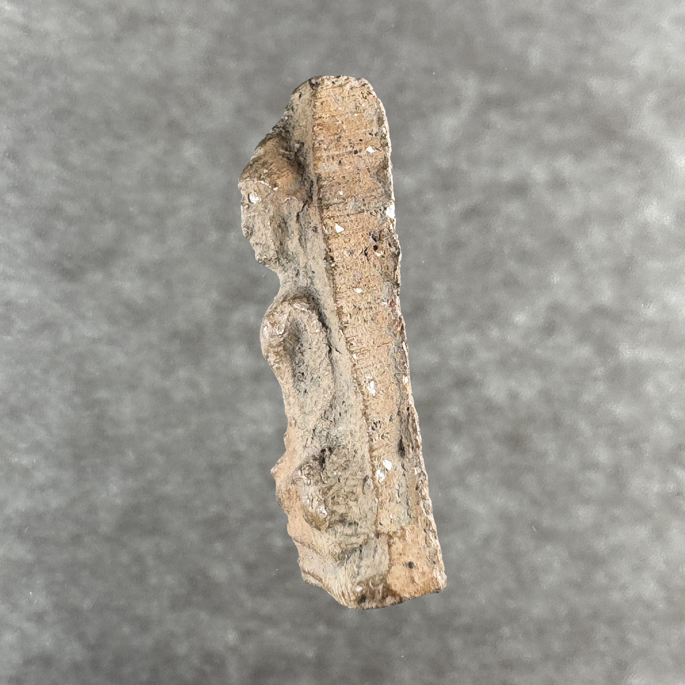 Phra U-Thong Ok Suek Samadi – Run Jong Ang Suek Nuea Din B.E.2510 / A.D. 1967 – Bild 4