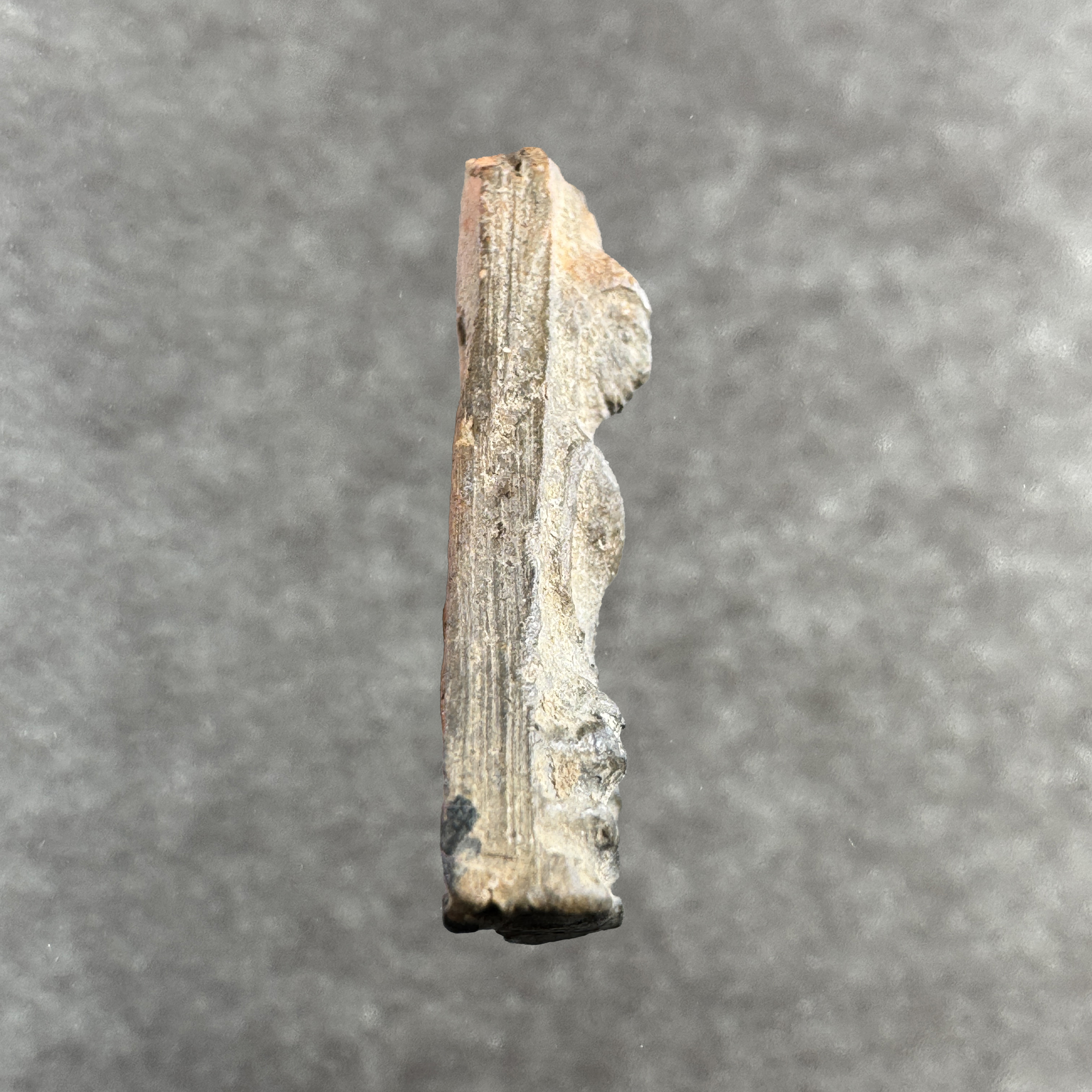 Phra U-Thong Ok Suek Samadi – Run Jong Ang Suek Nuea Din B.E.2510 / A.D. 1967 – Bild 6