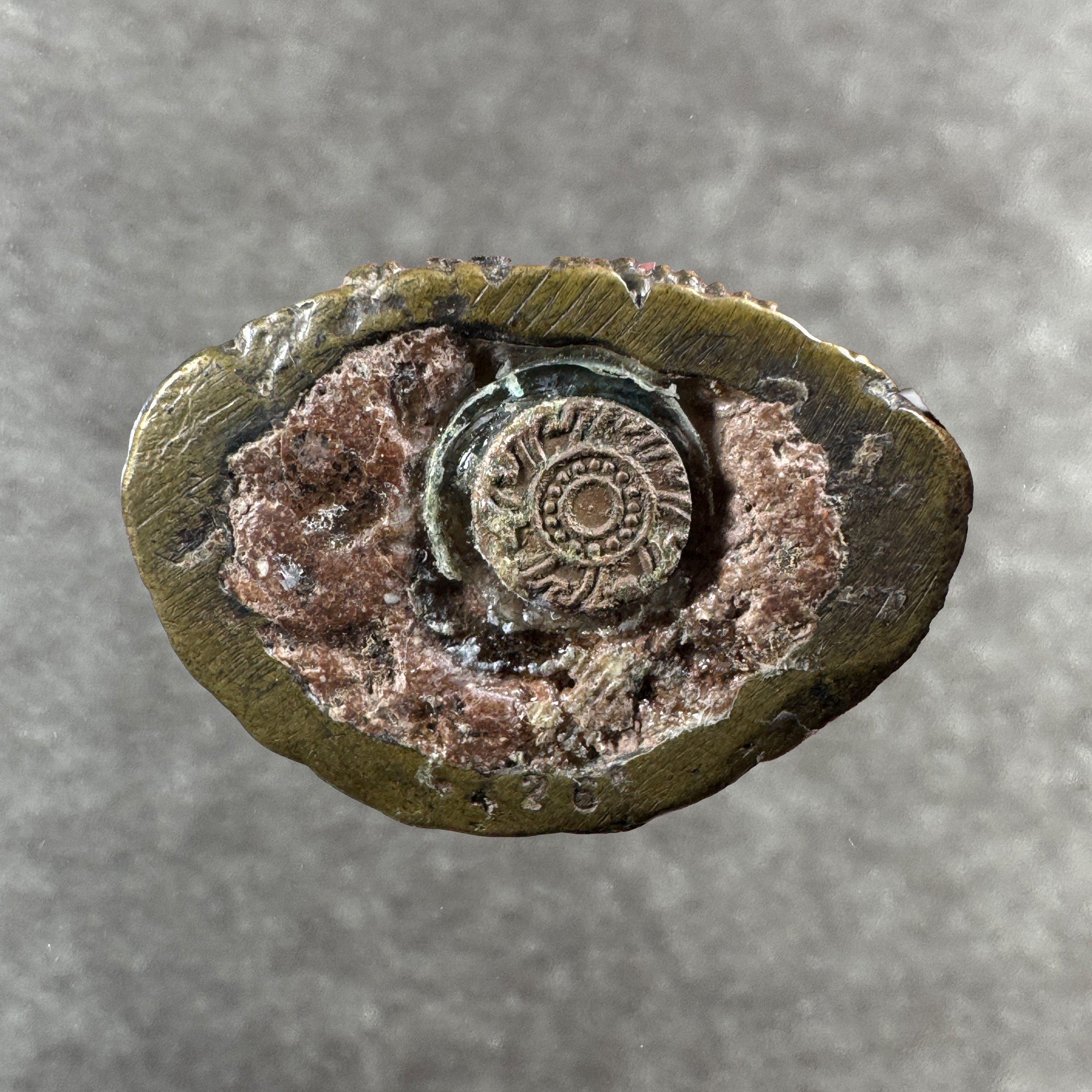 Luang Pho Kalong Tao Wessuwan „Narai Plaeng Roop“ Nuea Samrit Tedin Thai B.E. 2549 (2006) – Bild 5